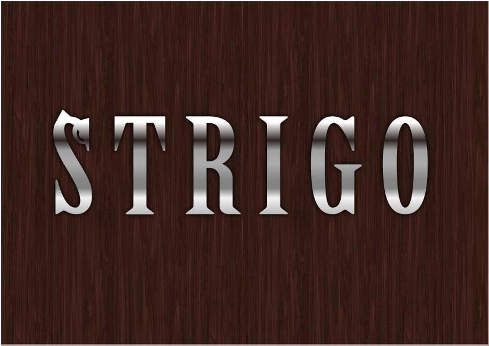 自社ブランド「STRIGO」ロゴ作成