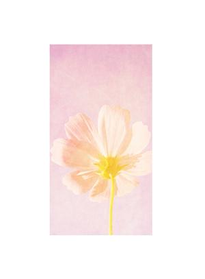 saraさんのイラスト・グラフィックデザイン (スマートフォンカバー)複数採用有りへの提案