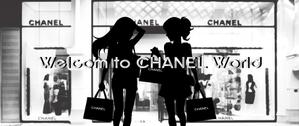 purrin007さんのネットショップのトップページに添付するCHANELブティック外観のイラストバナー画像をお願い致します。への提案