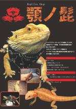 草壁　聖 (dspec)さんの「フトアゴヒゲトカゲ」の宣伝チラシへの提案