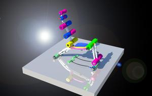 須田　敏明 ()さんのエクササイズ商品の３Dデータ作成への提案