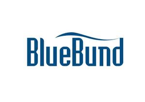 TDSL (TDSL)さんの新設会社【株式会社BlueBund】のロゴへの提案