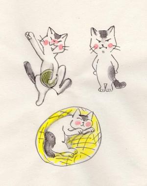 中川サキ (SakikoNakagawa)さんの2足歩行の猫のイラストへの提案