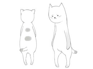 hosokawa yasu (yas_hosokawa)さんの2足歩行の猫のイラストへの提案