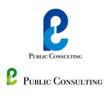 Public-Consulting1.jpg