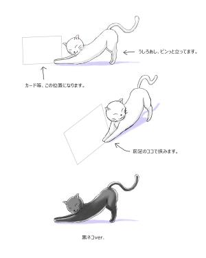 keito (keito_f)さんのねこのキャラクターデザインへの提案