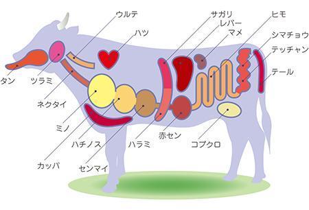 Ponpinさんの事例 実績 提案 牛ホルモン部位 名称の説明イラスト イラストのご提案をさ クラウドソーシング ランサーズ