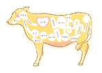 キムラマキコ (makiran)さんの牛ホルモン部位・名称の説明イラストへの提案
