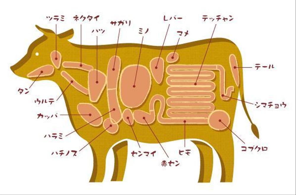 Tatakaneさんの事例 実績 提案 牛ホルモン部位 名称の説明イラスト はじめましてイラスト クラウドソーシング ランサーズ