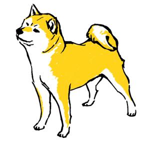 s.kobayashi (d-brew)さんの柴犬のイラストへの提案