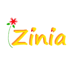 山口 (sunamela)さんのアパレルショップサイト『Zinia』のロゴデザインへの提案