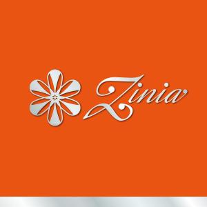 satoshin (satoshin)さんのアパレルショップサイト『Zinia』のロゴデザインへの提案