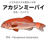 h-haradaさんの沖縄県産魚の一覧への提案