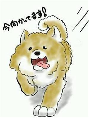 秋田犬長毛種のイラスト製作依頼の事例 実績 提案一覧 Id Lineスタンプ作成の仕事 クラウドソーシング ランサーズ