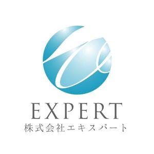 acve (acve)さんのシステム提供会社のロゴデザインの作成をお願いします。への提案