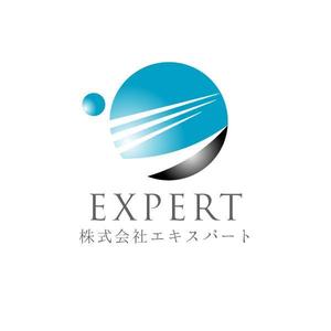 acve (acve)さんのシステム提供会社のロゴデザインの作成をお願いします。への提案