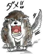 AZUMI (kerokerokaeru176)さんの秋田犬長毛種のイラスト製作依頼への提案