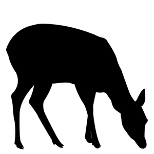 tutiko (tutiko)さんのバンビ（鹿）のシルエットタイプのイラスト作成への提案
