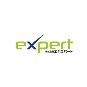 sayumistyle (sayumistyle)さんのシステム提供会社のロゴデザインの作成をお願いします。への提案