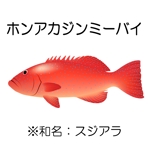 karasu-koubouさんの沖縄県産魚の一覧への提案