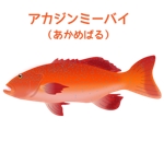 hiro_design ()さんの沖縄県産魚の一覧への提案