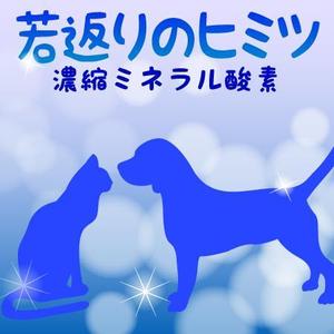 toryさんの新発売のペット用サプリメントのラベルデザインをお願いします＾＾への提案