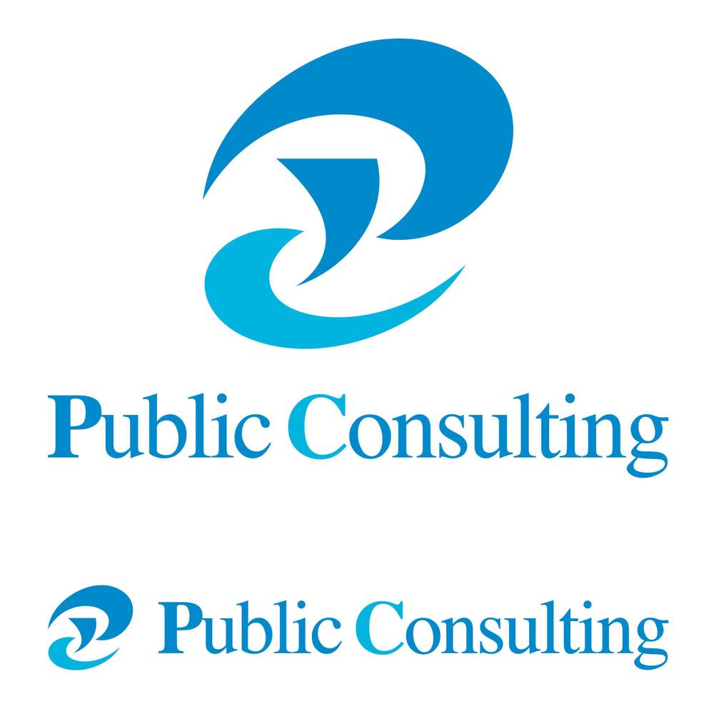 Public Consulting2.jpg