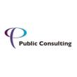 Public-Consulting-03.jpg