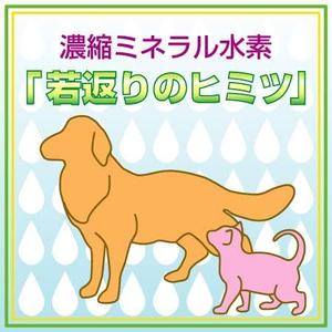 leo67さんの新発売のペット用サプリメントのラベルデザインをお願いします＾＾への提案