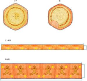 micco (kapasigu)さんの菓子用パッケージのホールケーキのかわいい手書き風イラストへの提案