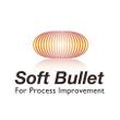 Soft-Bullet-03.jpg