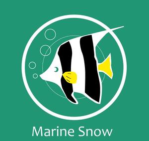 ｘｘｘ ()さんのダイビングショップのロゴ制作への提案