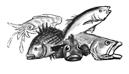 Kerokerokaeru176さんの事例 実績 提案 リアルな魚 鱸 動きのある 生き生きとしたイラスト 初めまして Zu M クラウドソーシング ランサーズ