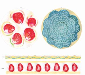 うめむらかおり (kaorinji)さんの菓子用パッケージのホールケーキのかわいい手書き風イラストへの提案