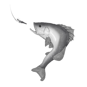 リアルな魚 鱸 動きのある 生き生きとしたイラストの事例 実績 提案一覧 Id 4433 イラスト制作の仕事 クラウドソーシング ランサーズ