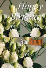 BunnyExtra (BunnyExtra)さんのバースデーカードのデザインへの提案