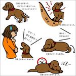 老犬 のイラストを5点ほどお願いしますの依頼 外注 イラスト制作の仕事 副業 クラウドソーシング ランサーズ Id