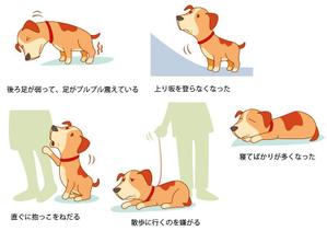 老犬 のイラストを5点ほどお願いしますの事例 実績 提案一覧 Id イラスト制作の仕事 クラウドソーシング ランサーズ