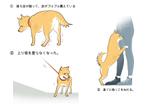 老犬 のイラストを5点ほどお願いしますの依頼 外注 イラスト制作の仕事 副業 クラウドソーシング ランサーズ Id