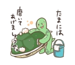 ひなたぼっ子（田村ひより） (hinata_boko)さんの別途５万円　「亀」や「貝」など甲羅や体の一部が取り外し可能な生き物のLINEスタンプ作成への提案