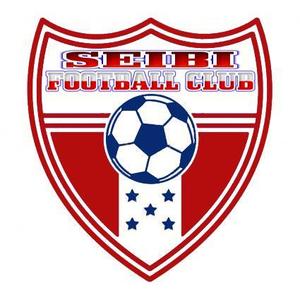 Della Studios (parkinsondesign)さんのサッカークラブチーム（ジュニアユース）のエンブレムへの提案