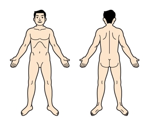 nakaco (nakaco)さんの☆急募☆医療機関向けアプリで使用する人体図のイラストへの提案