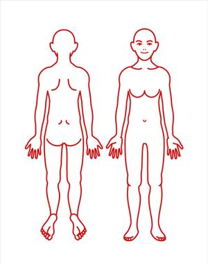 kikujiro (kiku211)さんの☆急募☆医療機関向けアプリで使用する人体図のイラストへの提案