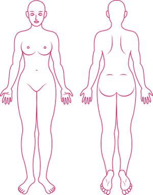 つぶ*りん (tsubu-rin)さんの☆急募☆医療機関向けアプリで使用する人体図のイラストへの提案