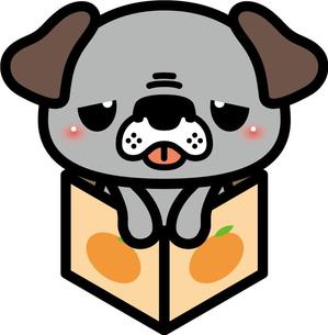 ニシダアオイ (nishida0822)さんの不細工なんだけど何だか憎めない（愛される）キャラクターのデザインへの提案