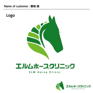 DESIGN DIVE (mstk0711)さんの馬の開業獣医師「エルムホースクリニック」のロゴデザインへの提案
