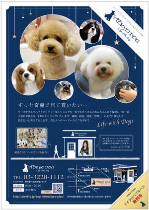 fin0315nance (fin0315nance)さんのトリミングサロン（犬の美容室）の新規集客チラシA４両面への提案