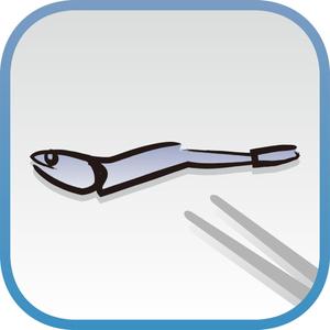 tsujimo (tsujimo)さんのiPadアプリ（iOS）「にぼしの学習帳」のアイコンデザインへの提案