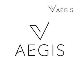 gou3 design (ysgou3)さんの社名ロゴ依頼への提案