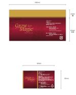 DESIGN DIVE (mstk0711)さんの増毛パウダーのパッケージデザインへの提案